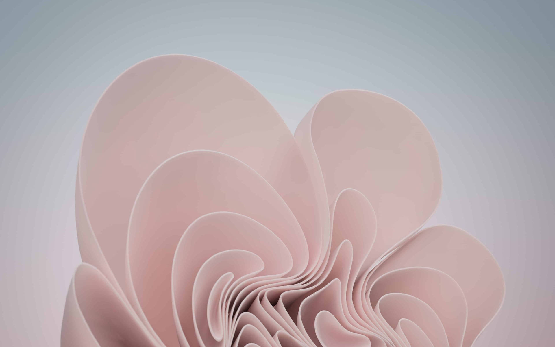 Windows 11 Pink Aesthetic Bloom Wallpaper