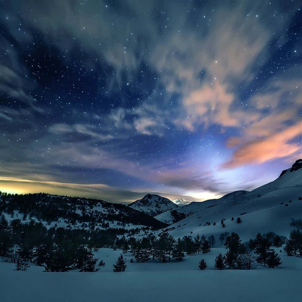 Winter Nature Ipad Wallpaper