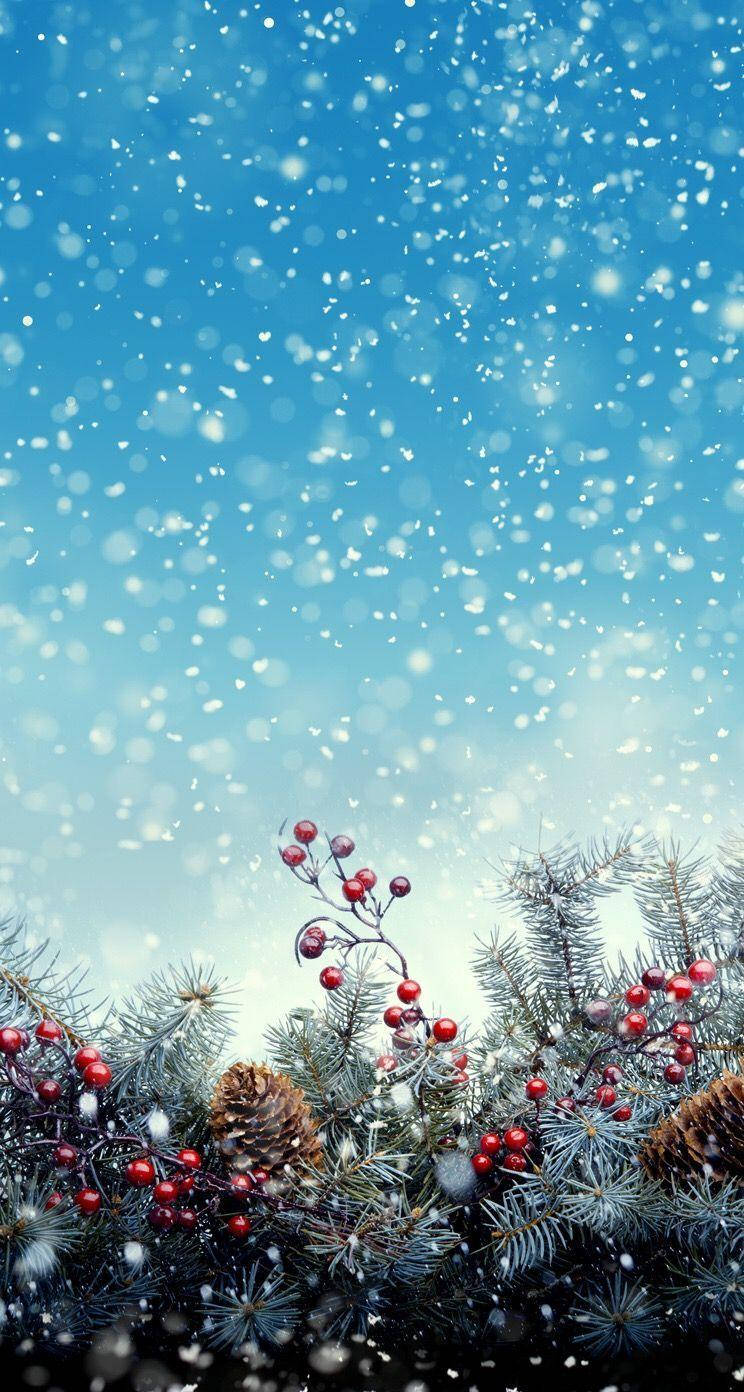 Winter Phone Christmas Fruits Wallpaper