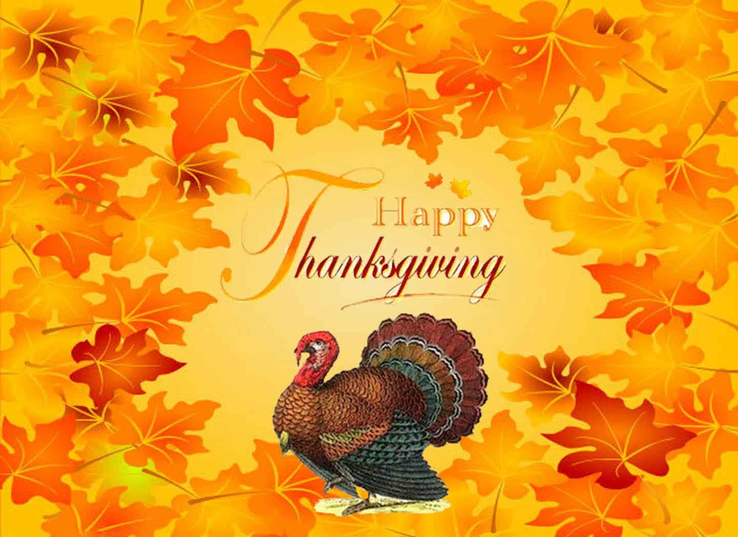 Wishing You Peace, Joy And A Happy Thanksgiving Wallpaper