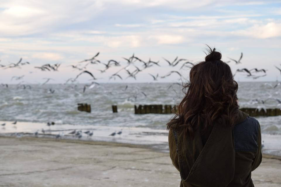 Woman Playing Instrument With Birds In Nature Wallpaper