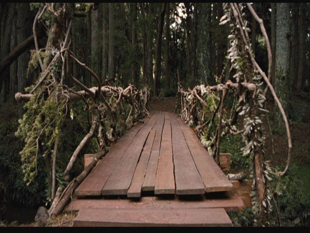 Wooden Bridge To Terabithia Wallpaper