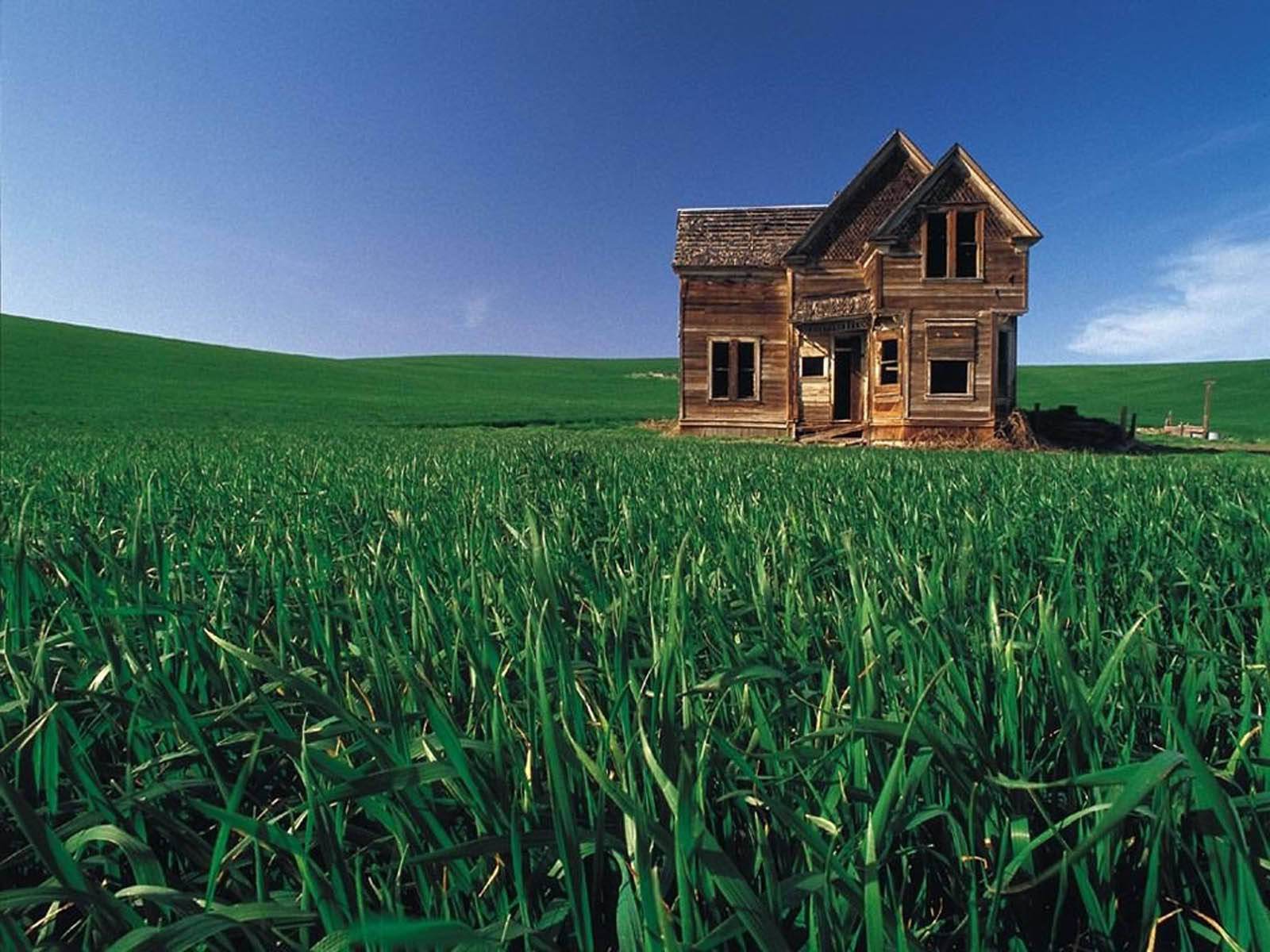 Wooden House On Green Grass Land Wallpaper