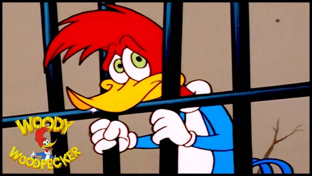 Woody Woodpecker Show. 1 Hour Compilation. Cartoons For Children Wallpaper