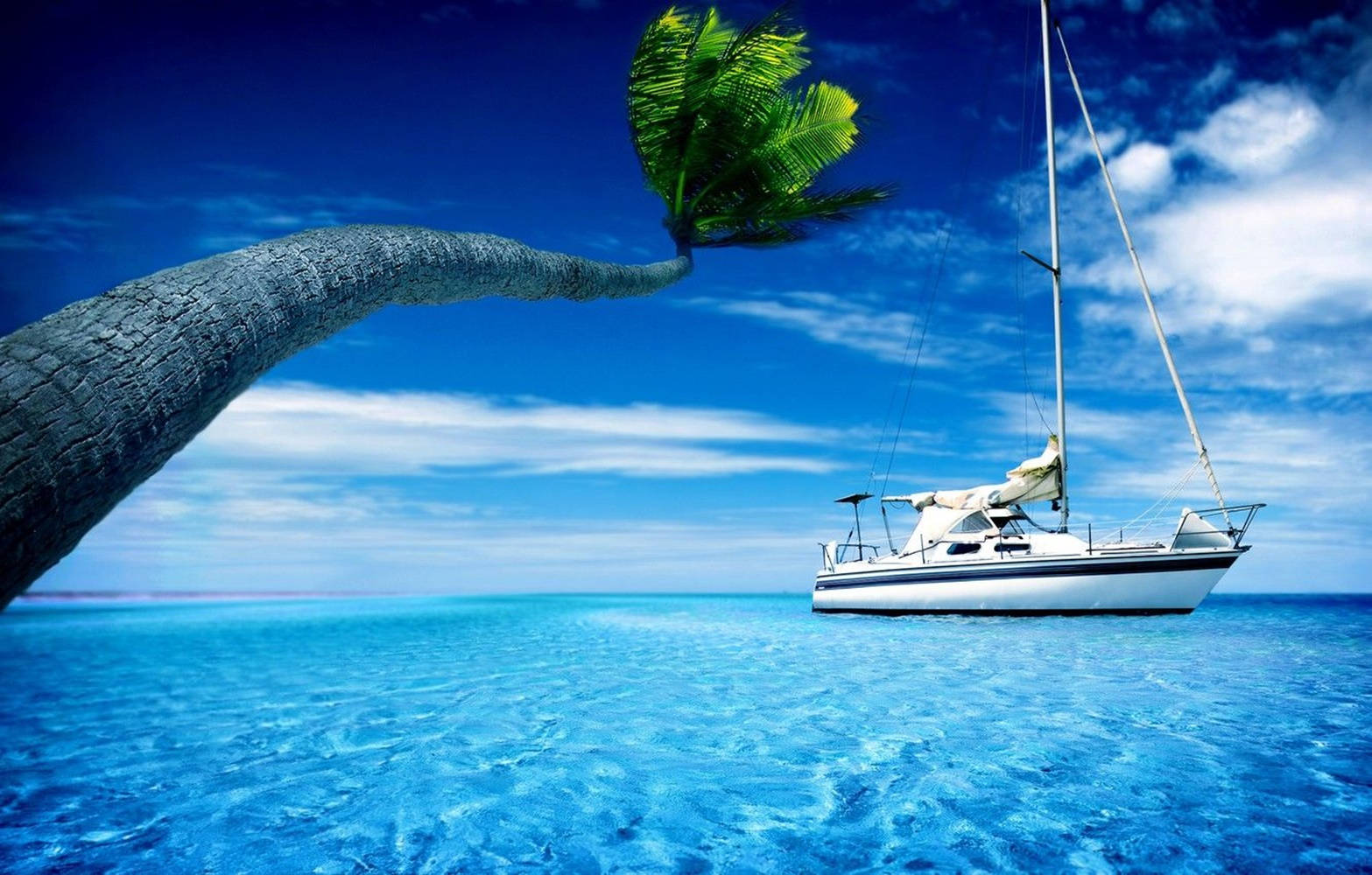 Yacht Bent Tree Wallpaper