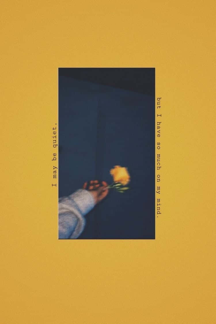 Yellow Aesthetic Iphone Rose Flower Wallpaper