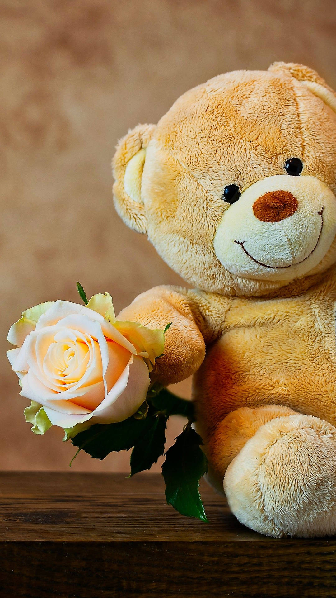 Beautiful shops teddy bear wallpaper