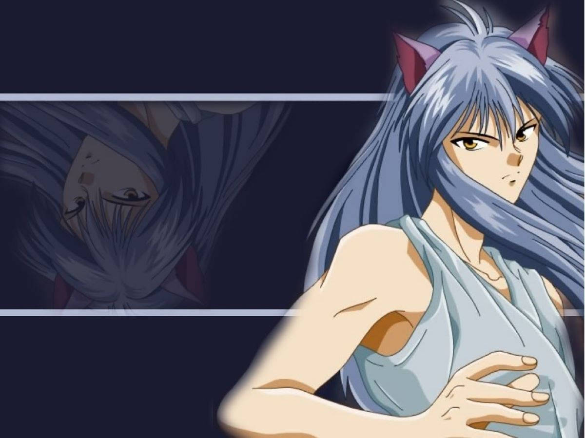 Yoko Kurama White-haired Fox Wallpaper