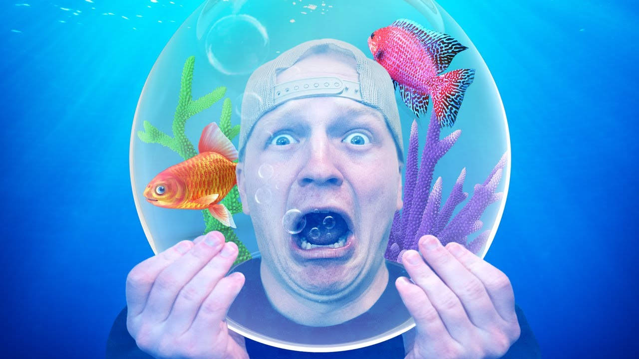 Youtuber Unspeakable In Fish Bowl Wallpaper