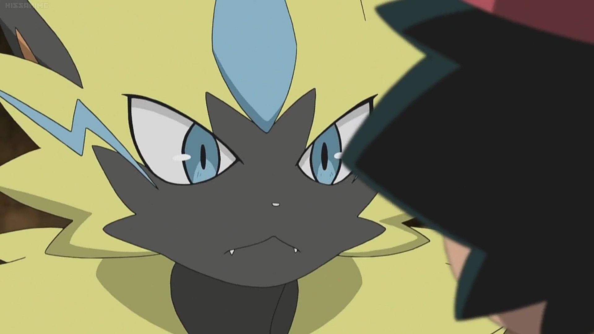 Zeraora Looking At Ash Wallpaper