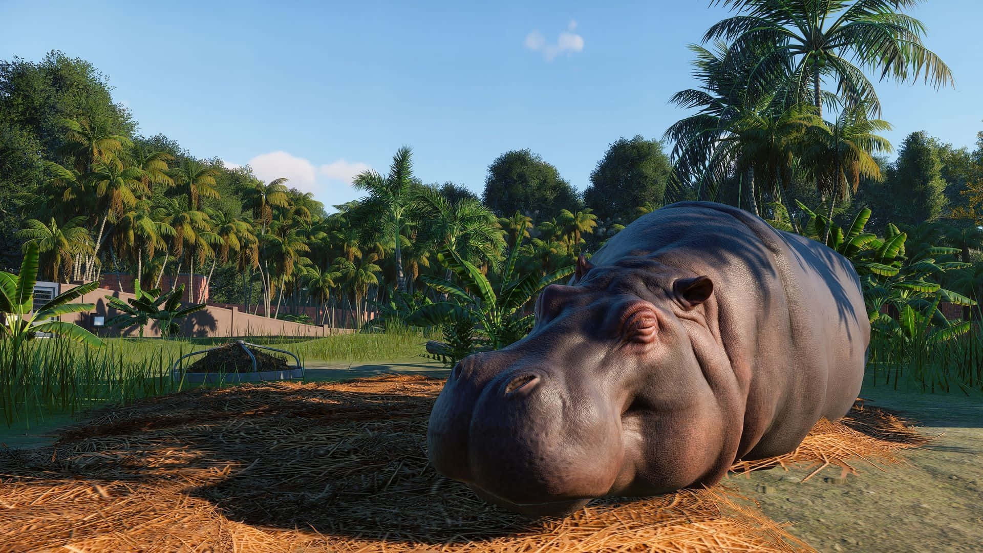 Zoo With A Sleeping Hippopotamus Wallpaper
