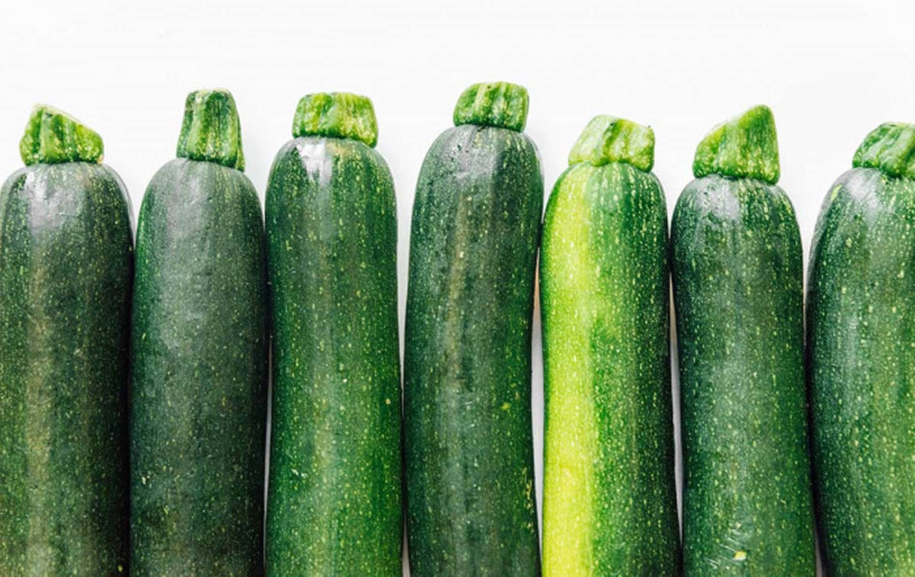 Zucchini Dunja Vegetable Variety Wallpaper