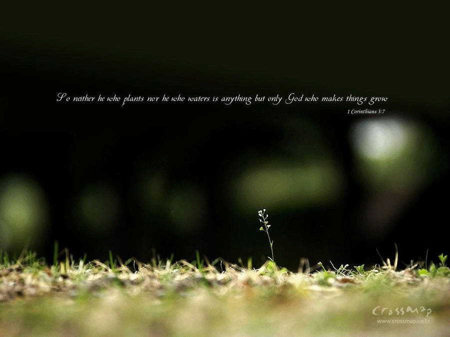 1920x1080 Hd Biblical 1 Corinthians 3:7 Wallpaper