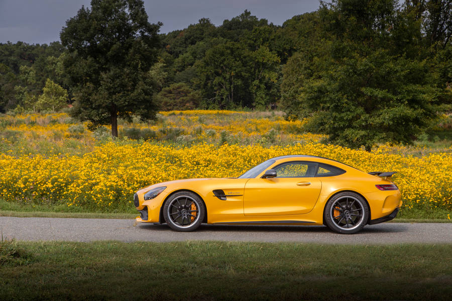 2020 Mercedes Amg Gt R Pro Vehicle Wallpaper