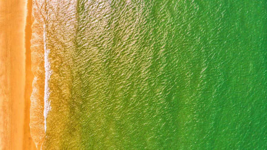 2560 X 1440 Sea Ombre Wallpaper