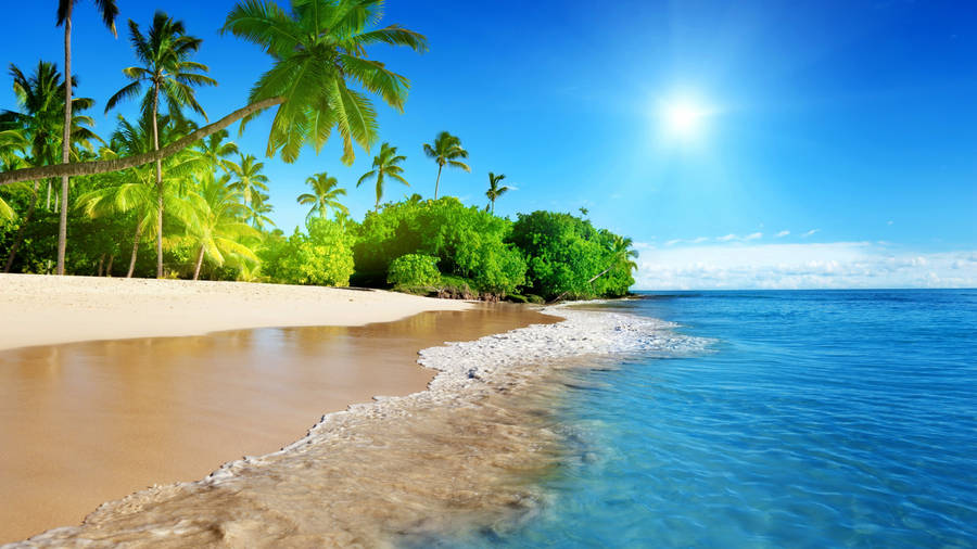 2560 X 1440 Tropical Seascape Wallpaper