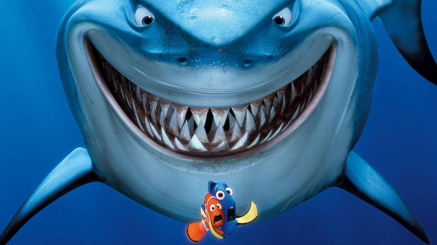 2560x1440 Disney Marlin And Dory Frightened Wallpaper