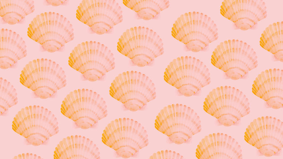 2560x1440 Summer Seashell Pattern Wallpaper