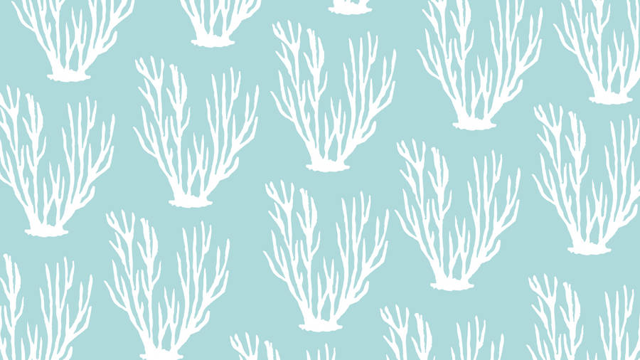 2560x1440 Summer Seaweed Pattern Wallpaper