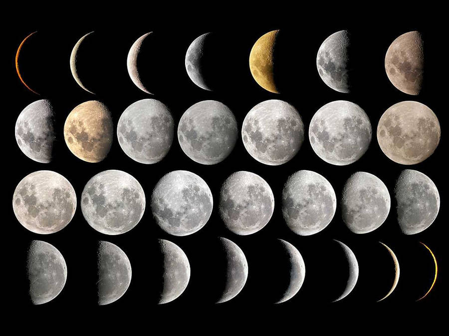 28 Moon Phases In Different Shades Wallpaper