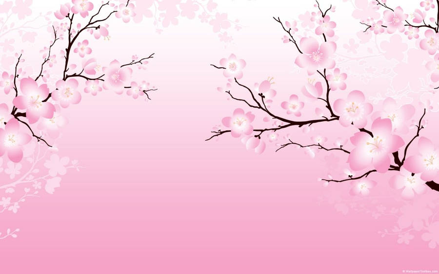 2d Cherry Blossom Wallpaper