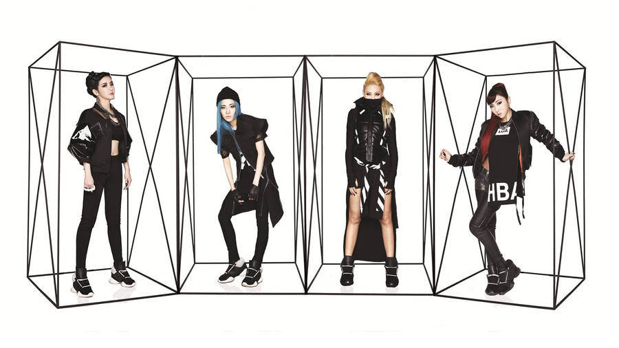 2ne1 K Pop Promo Photo Wallpaper