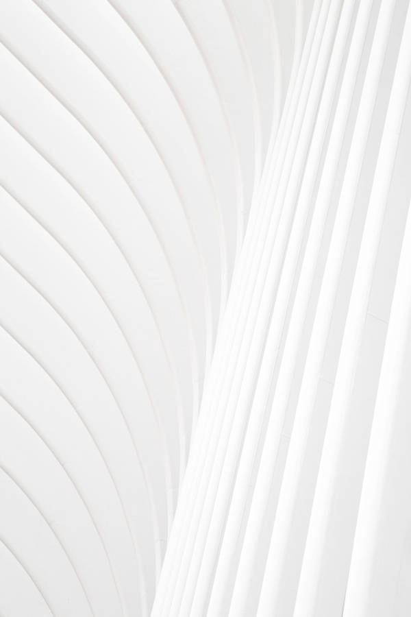 3d All White Lines Wallpaper