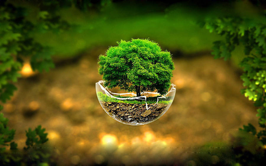 3d Tree In Broken Glass Ball Wallpaper