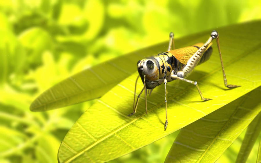 3d Yellow Grasshopper Wallpaper