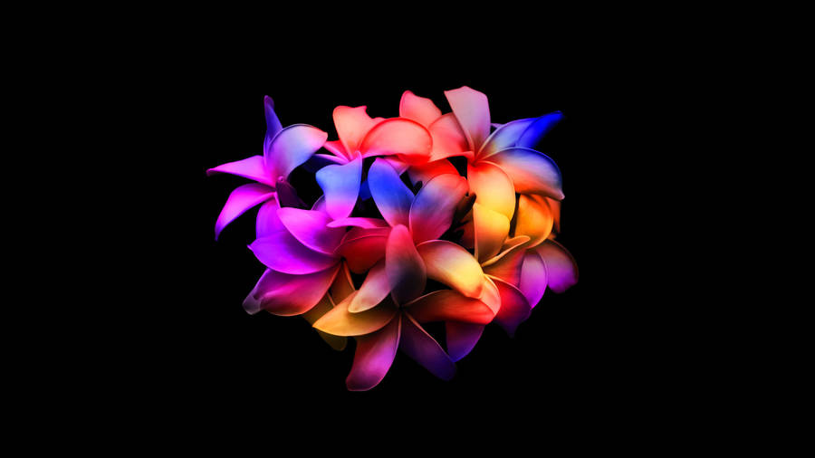 4d Flower Art Wallpaper