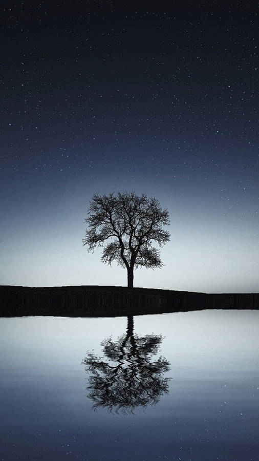 4k Android Black Tree Wallpaper