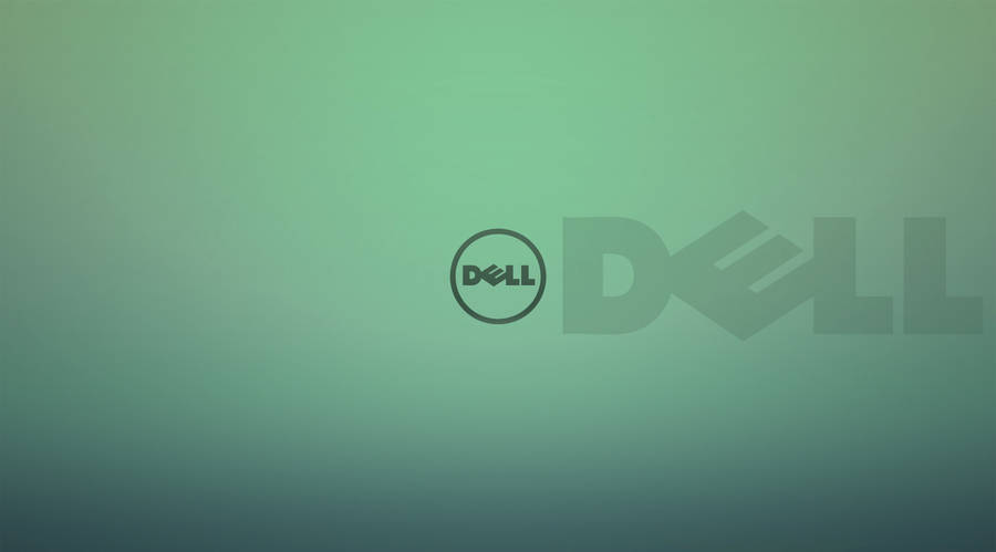 4k Dell Laptop Lid Case Wallpaper