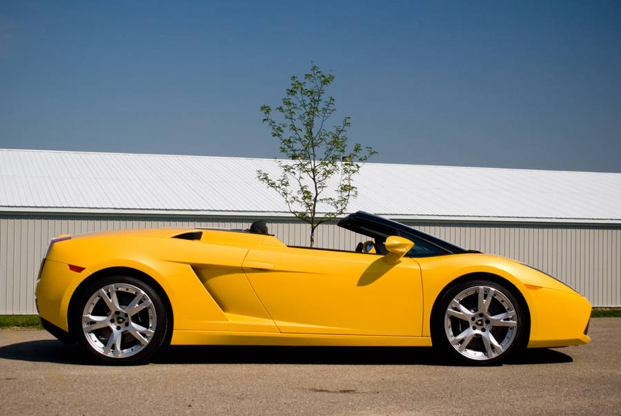 4k Lamborghini Gallardo In Yellow Paint Wallpaper