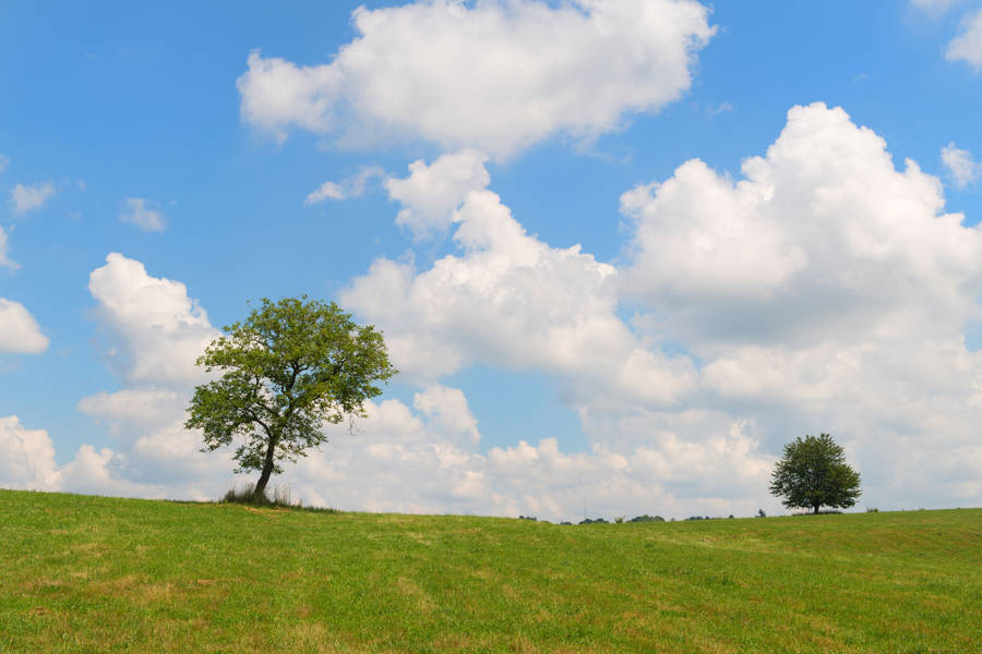 4k Landscape Field Sky Daytime Wallpaper