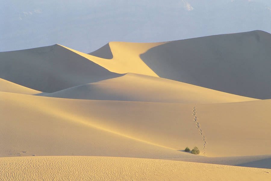 4k Landscape Sahara Desert Wallpaper