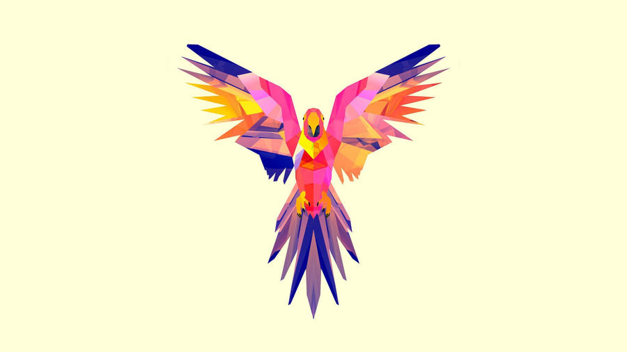 4k Vector Colorful Bird Wallpaper