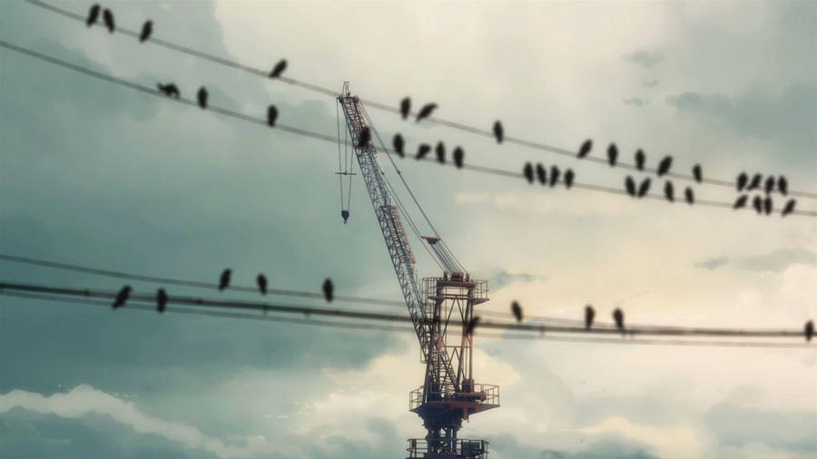 5 Centimeters Per Second Blurry Birds Wallpaper