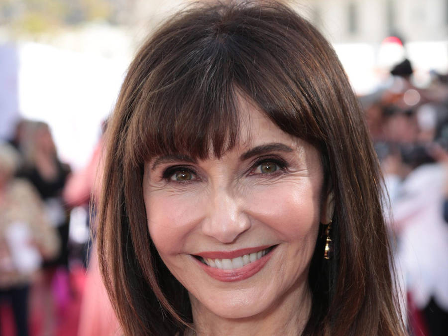 69 Years Old Mary Steenburgen Wallpaper