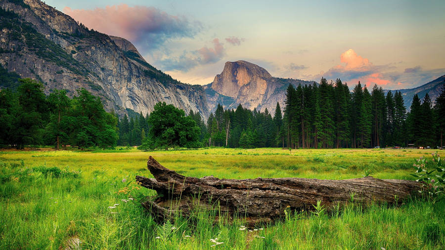 8k 7680x4320 Ultra Hd Resolution Desktop Yosemite Wallpaper