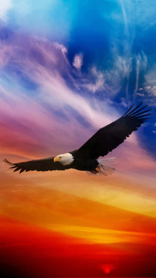 A Bald Eagle Flying In The Sky With Colorful Sunset Wallpaper