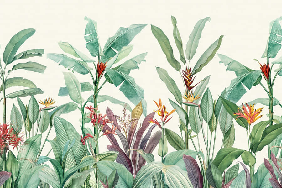 A Beautiful Array Of Botanical Delights Wallpaper