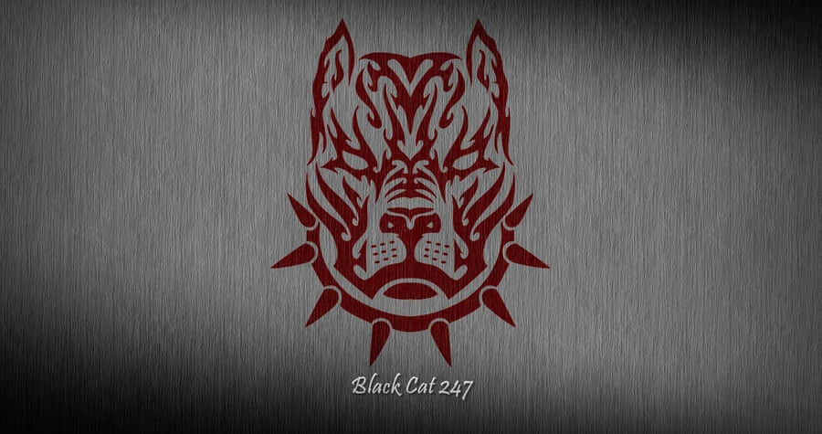 A Beautiful Black Pitbull Ready To Play! Wallpaper