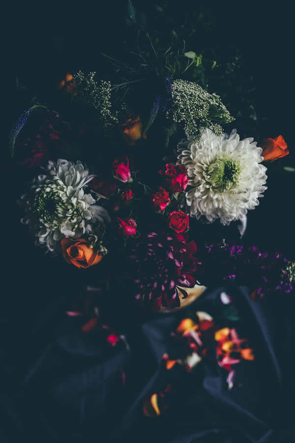 A Beautiful Flower Blooming In The Dark Wallpaper