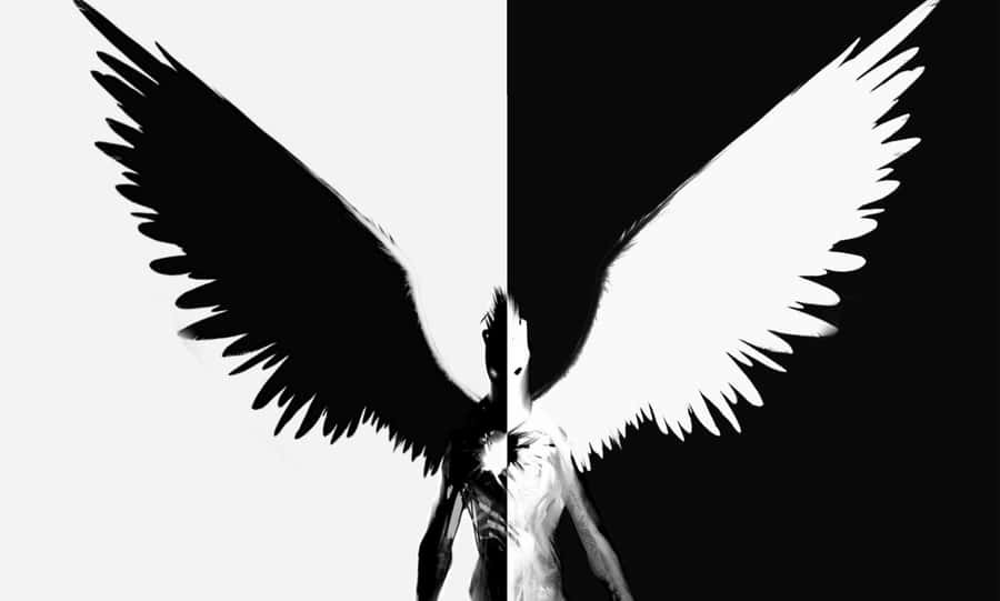 A Black And White Image Of An Angel With Wings Wallpaper