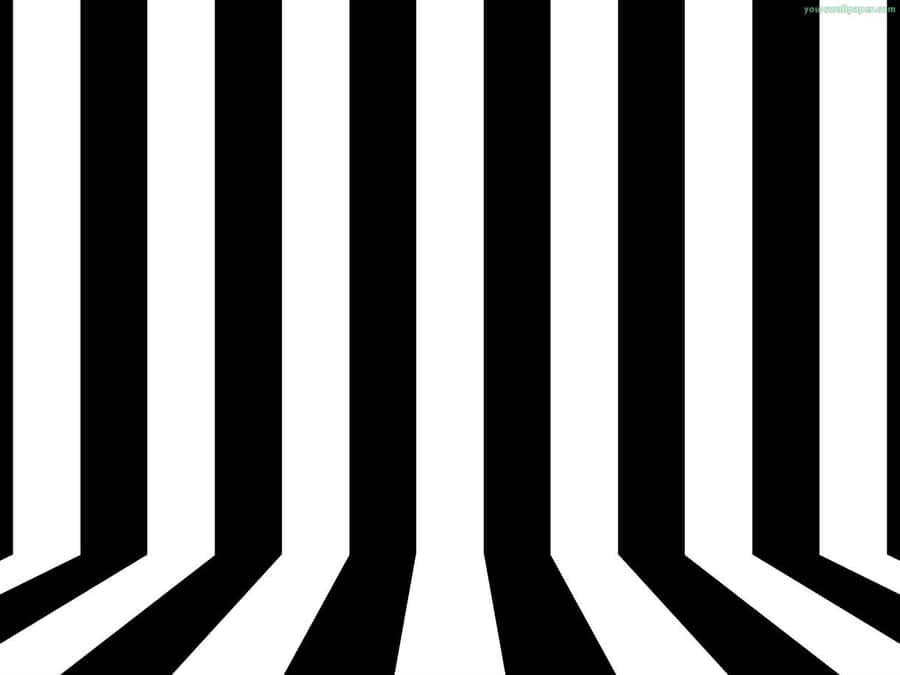 A Black And White Striped Background With A Black And White Striped Wall Wallpaper