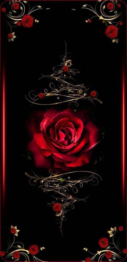 A Black Background With A Red Rose Wallpaper