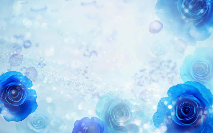 A Blue Rose - Symbolizing Mystery And Awe Wallpaper