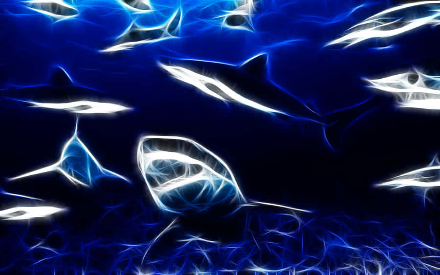 A Bold-looking Cool Shark Swimming Through The Ocean Wallpaper