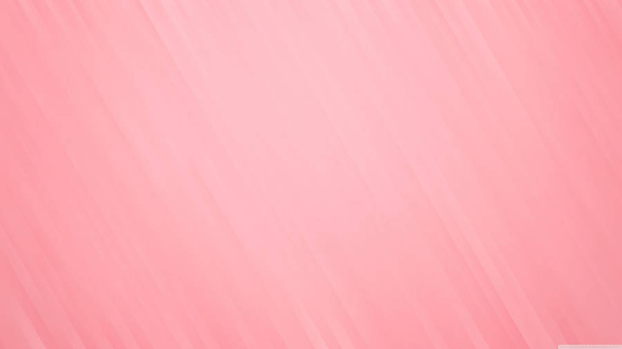 A Bright And Vibrant Pink And White Composition Wallpaper
