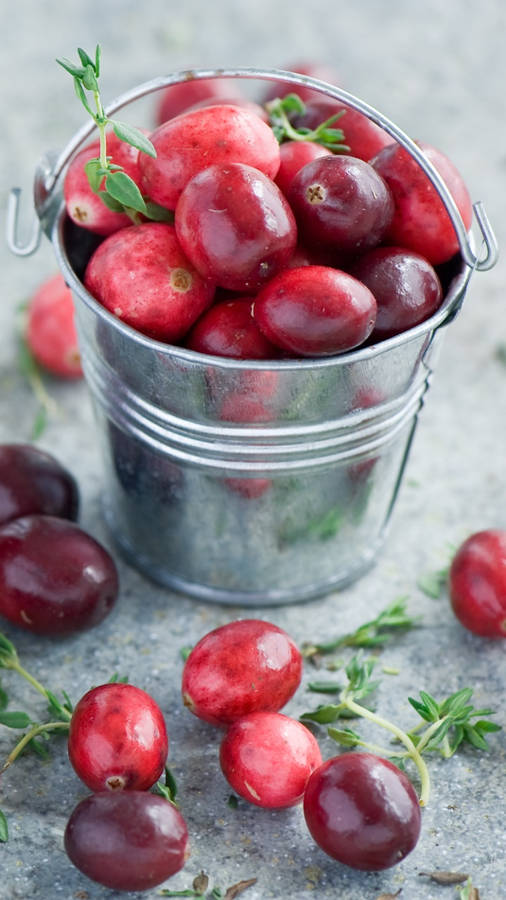 A Bucket Of Cranberries Wallpaper